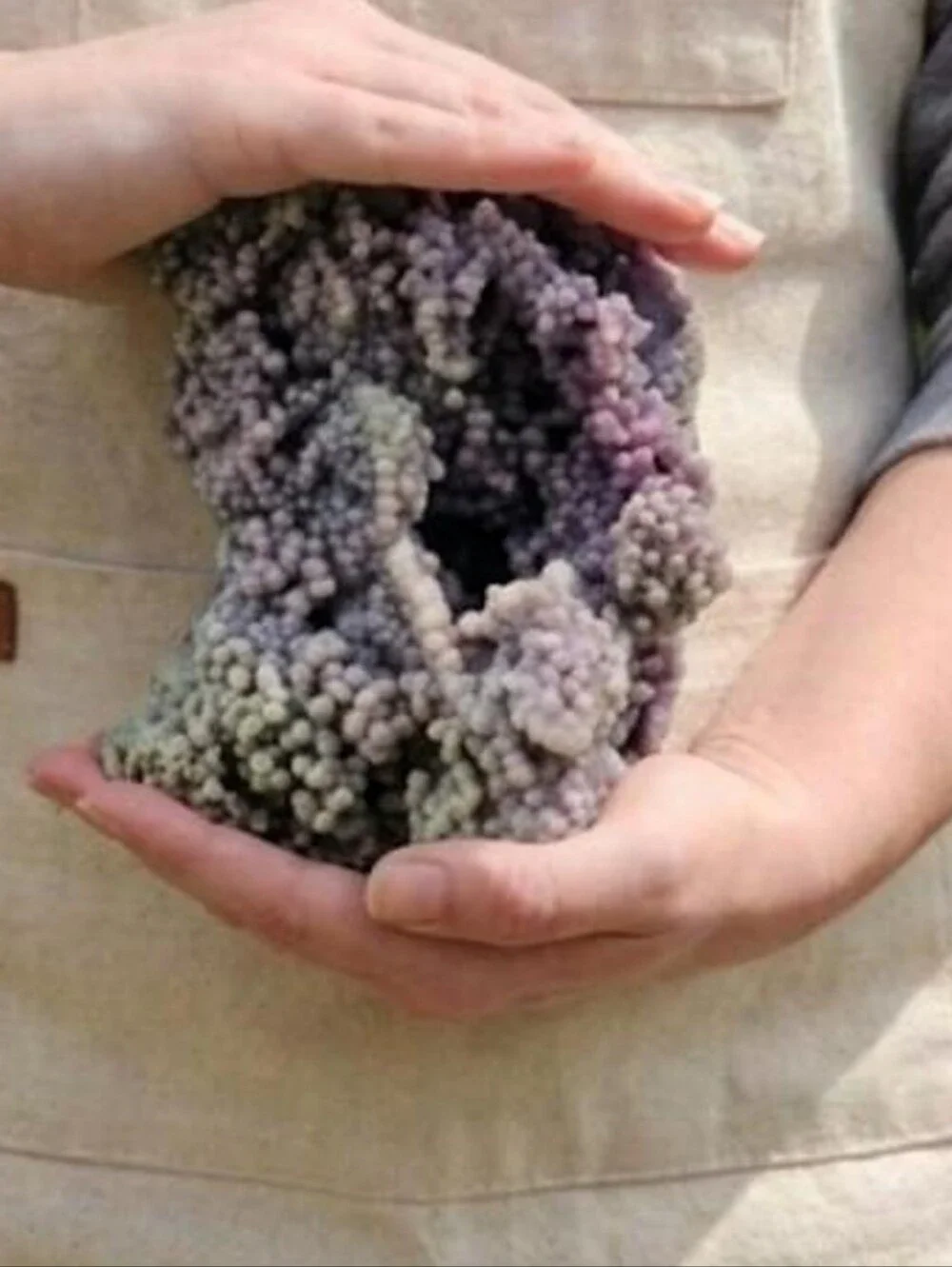 SIREN'S STONES CRYSTAL SHOP NOW OPEN HERE ON POSHMARK [Don't Buy Listing]